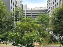 Blk 256C Punggol Opal (Punggol), HDB 4 Rooms #554767541